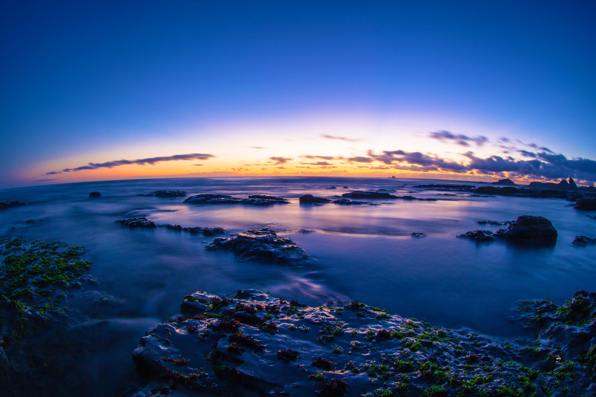 Canon EF 8-15mm F4L Fisheye USM sample photo. Lincoln city beach mossy waves photography