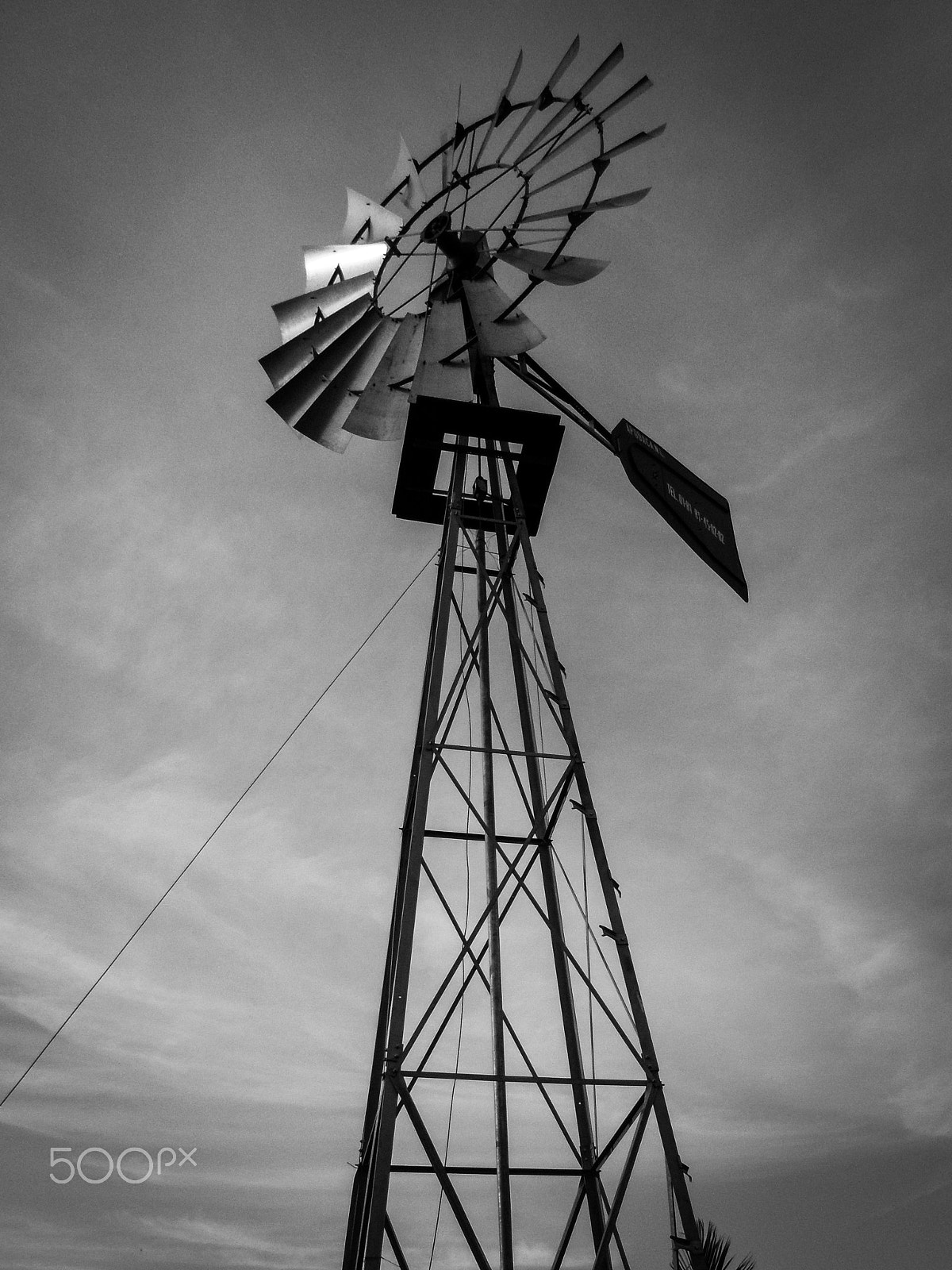 Samsung PL170,PL171 / VLUUPL170,PL171 sample photo. The wind blowing photography
