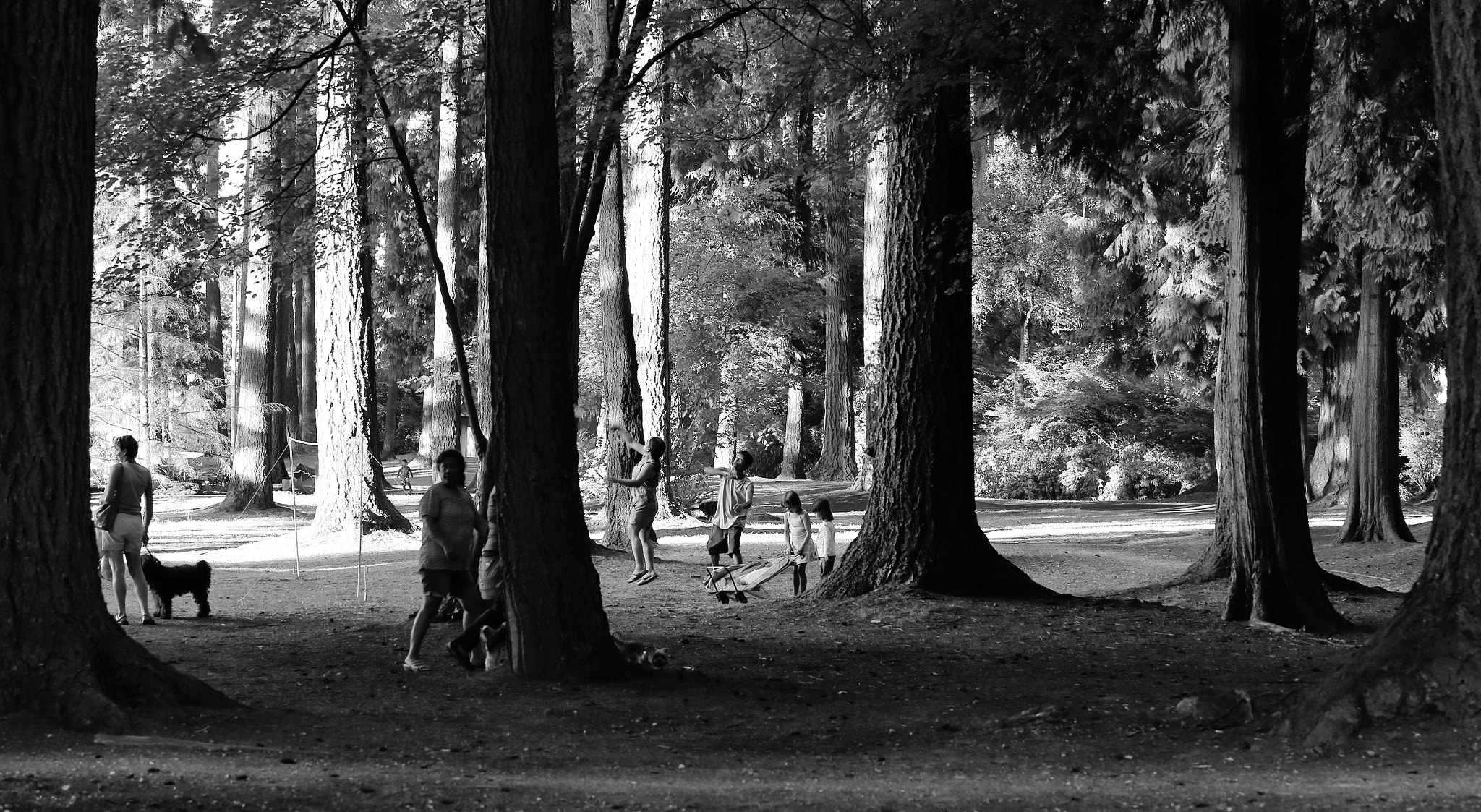Canon EF 80-200mm f/2.8L sample photo. Let's play photography