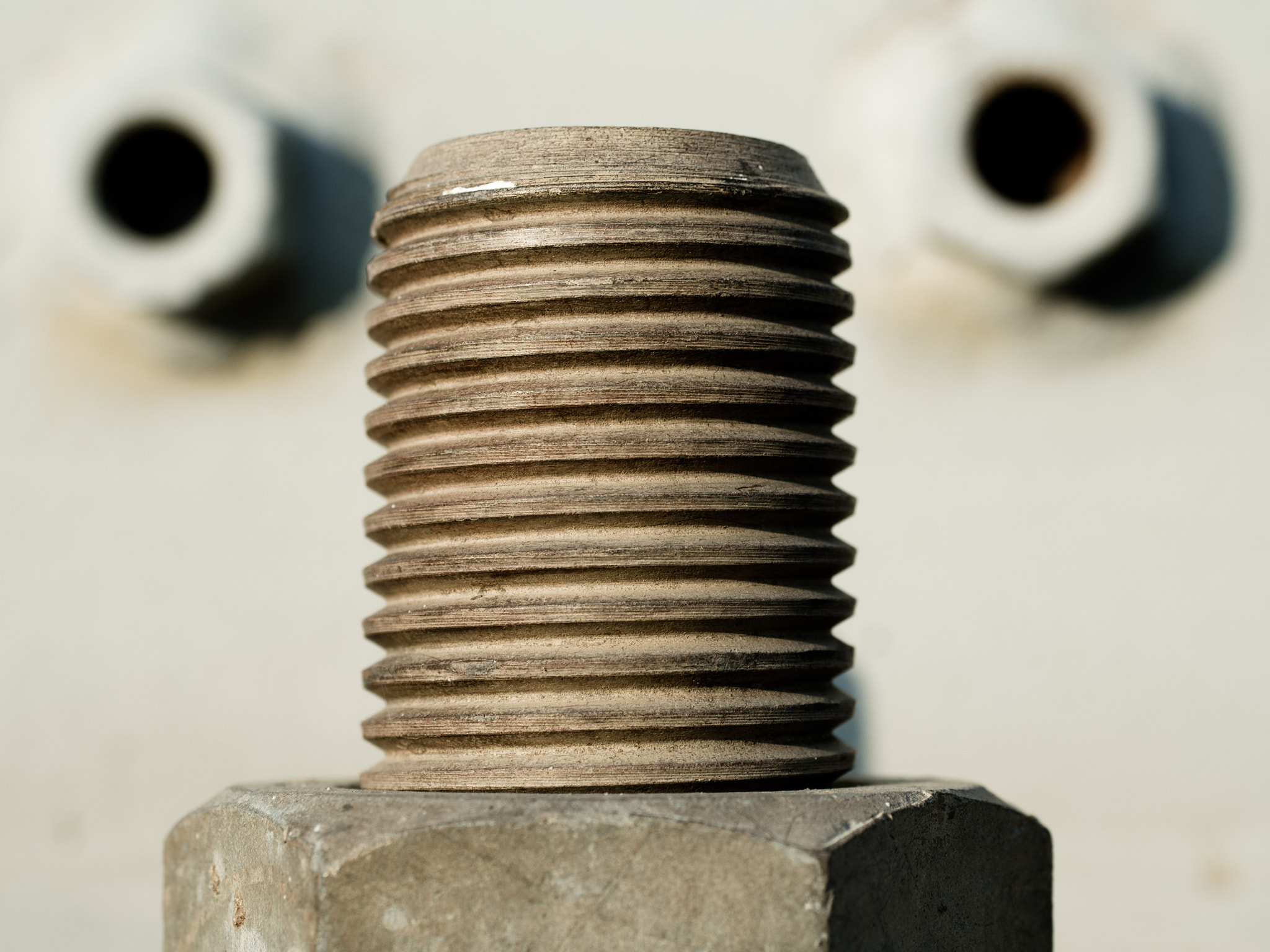 Nikon D7000 + Sigma 50mm F2.8 EX DG Macro sample photo. Bolt photography