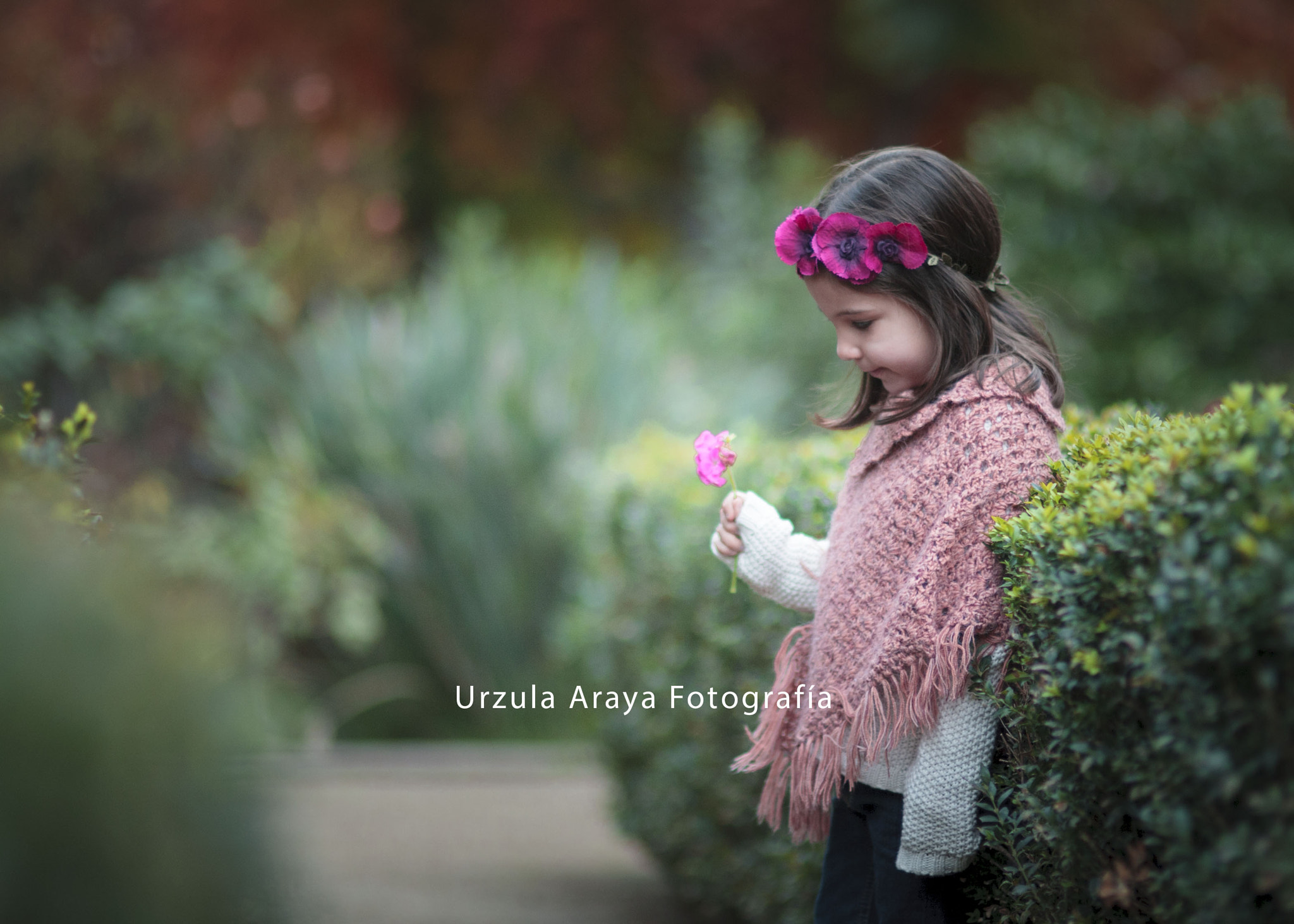 Sigma 85mm F1.4 EX DG HSM sample photo. Autumn photography