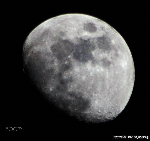 Sigma 70-300mm F4-5.6 APO DG Macro sample photo. Mg photography