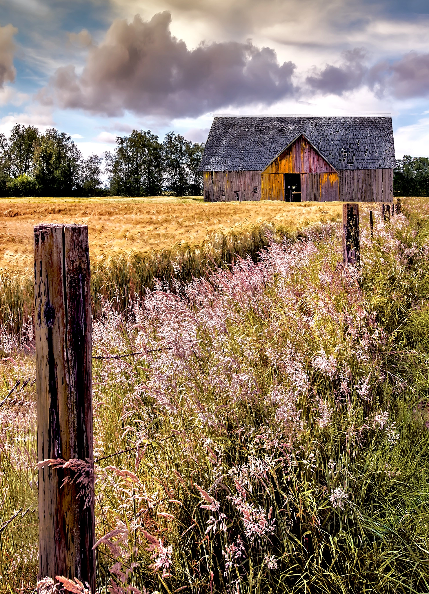 Nikon D3X sample photo. Old barn in a field photography