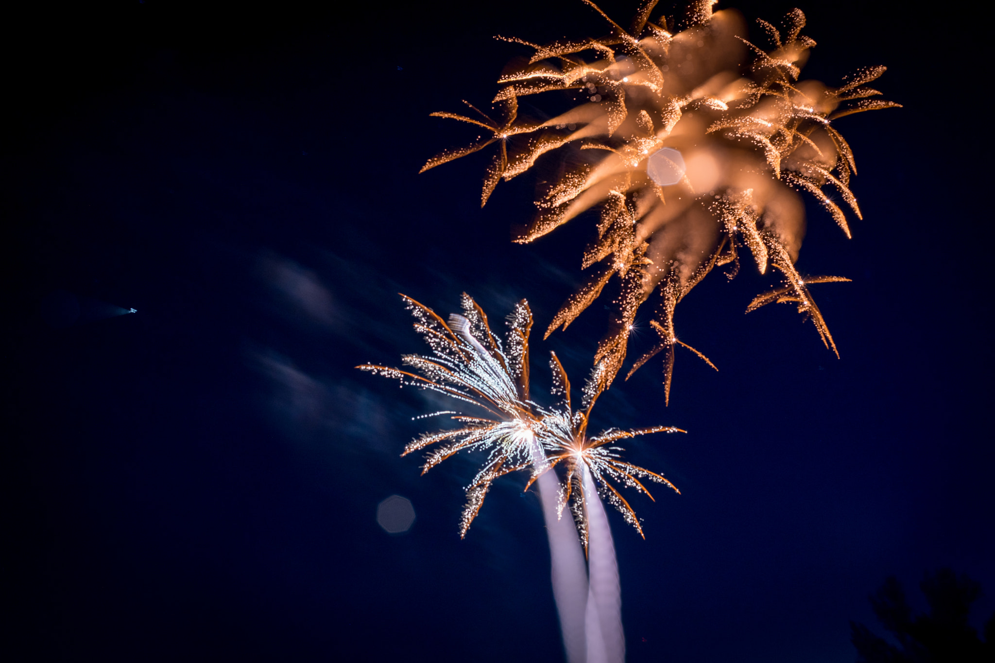 Sony a7 II + Canon EF 50mm F1.8 STM sample photo. Palm trees photography