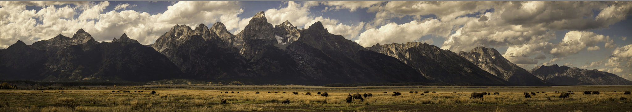 Nikon D4S sample photo. Where the buffalo roam. grand tetons photography