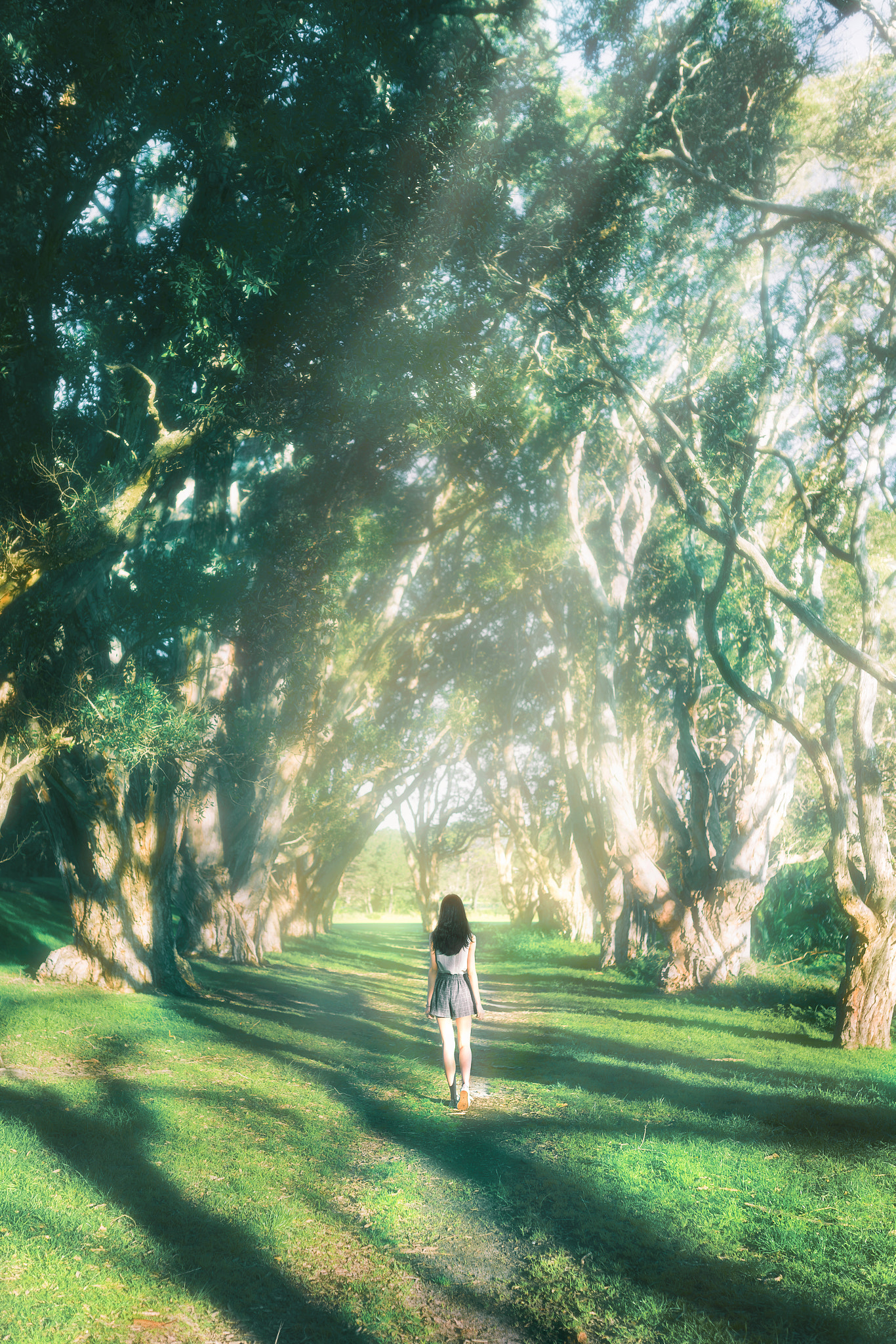 Sigma 35mm F1.4 DG HSM Art sample photo. Forest photography