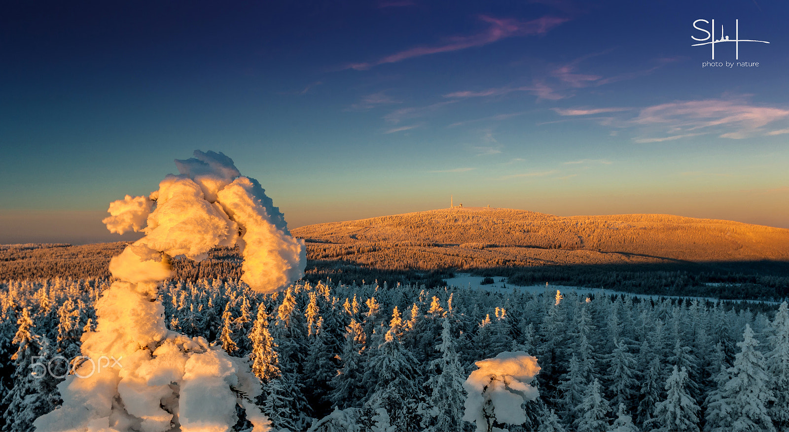 Sigma 18-50mm F2.8-4.5 DC OS HSM sample photo. Winterdream photography