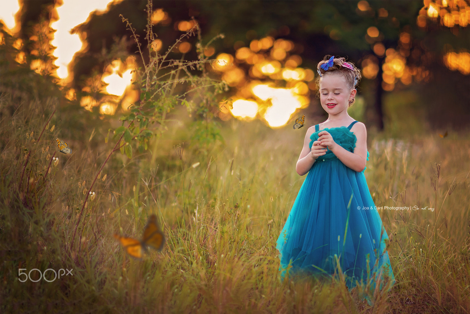 Nikon D750 + AF DC-Nikkor 135mm f/2D sample photo. Butterfly field photography