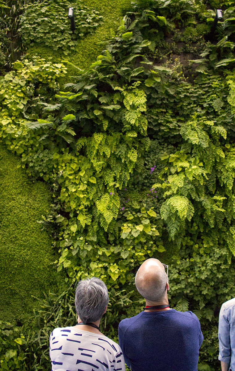 Canon EF-S 24mm F2.8 STM sample photo. Living wall by david brenner photography