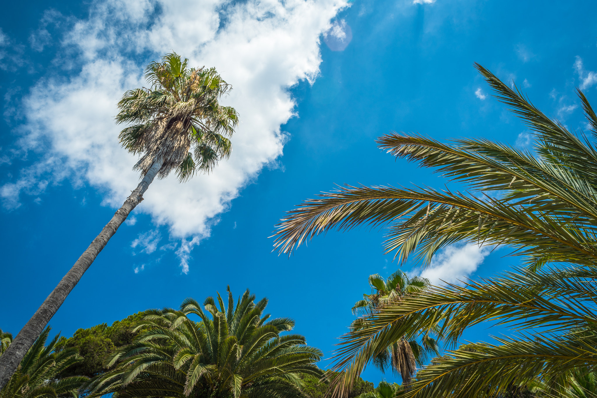 Nikon D750 + AF Nikkor 24mm f/2.8 sample photo. Supporting the sky photography
