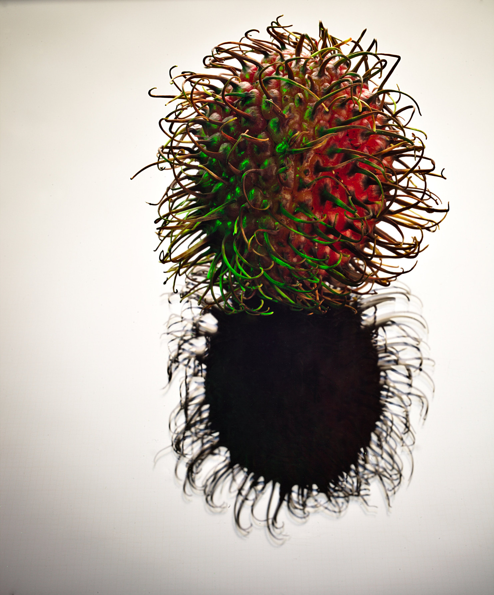 ZEISS Makro-Planar T* 50mm F2 sample photo. Rambutan#3 photography