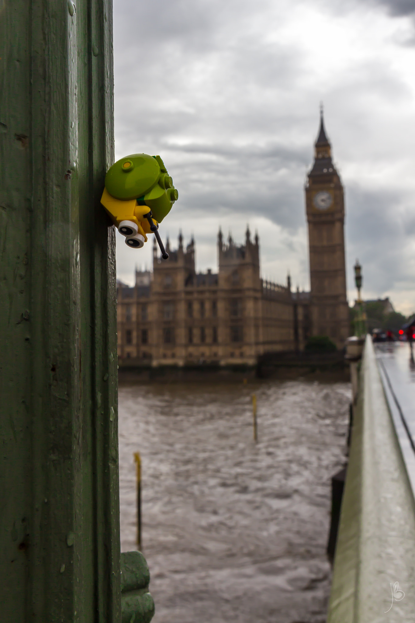 Canon EF 24-70mm F4L IS USM sample photo. A snail's life (8) - big ben photography