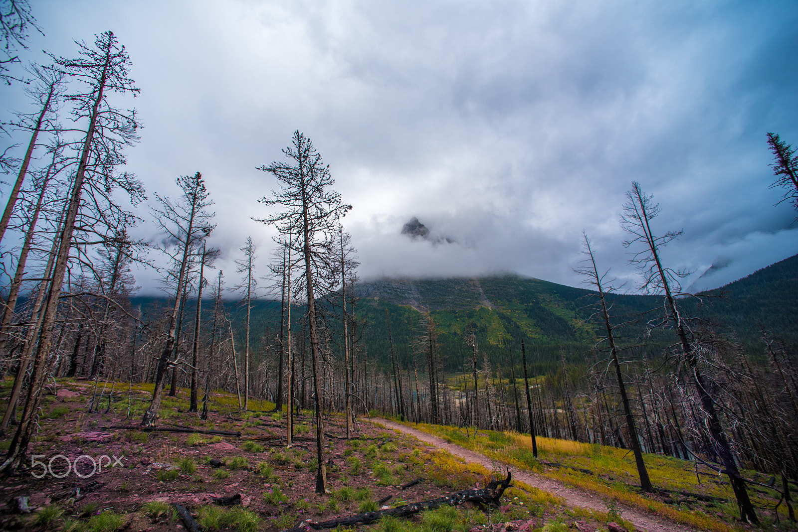 Nikon D750 + Nikon AF Nikkor 14mm F2.8D ED sample photo. Glacier4 photography