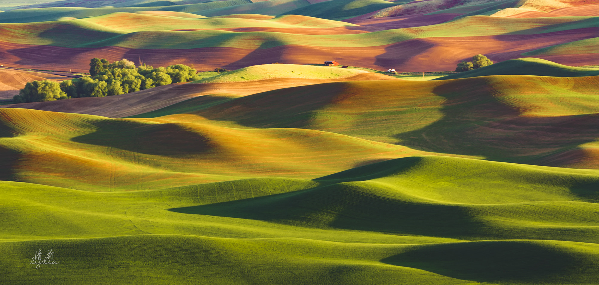 Sigma 50-500mm F4-6.3 EX APO RF HSM sample photo. Palette，palouse wa photography