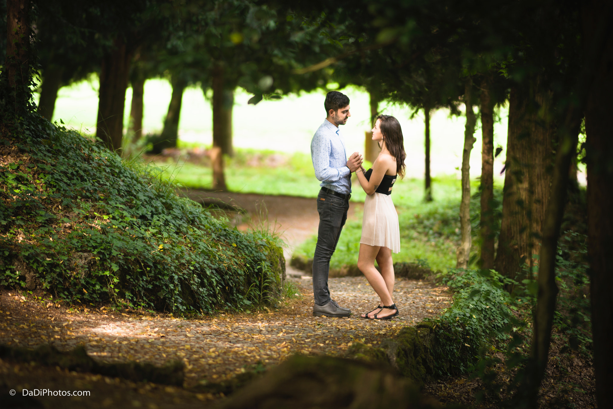 Sony Sonnar T* 135mm F1.8 ZA sample photo. Daniele dimiccoli photographer photography