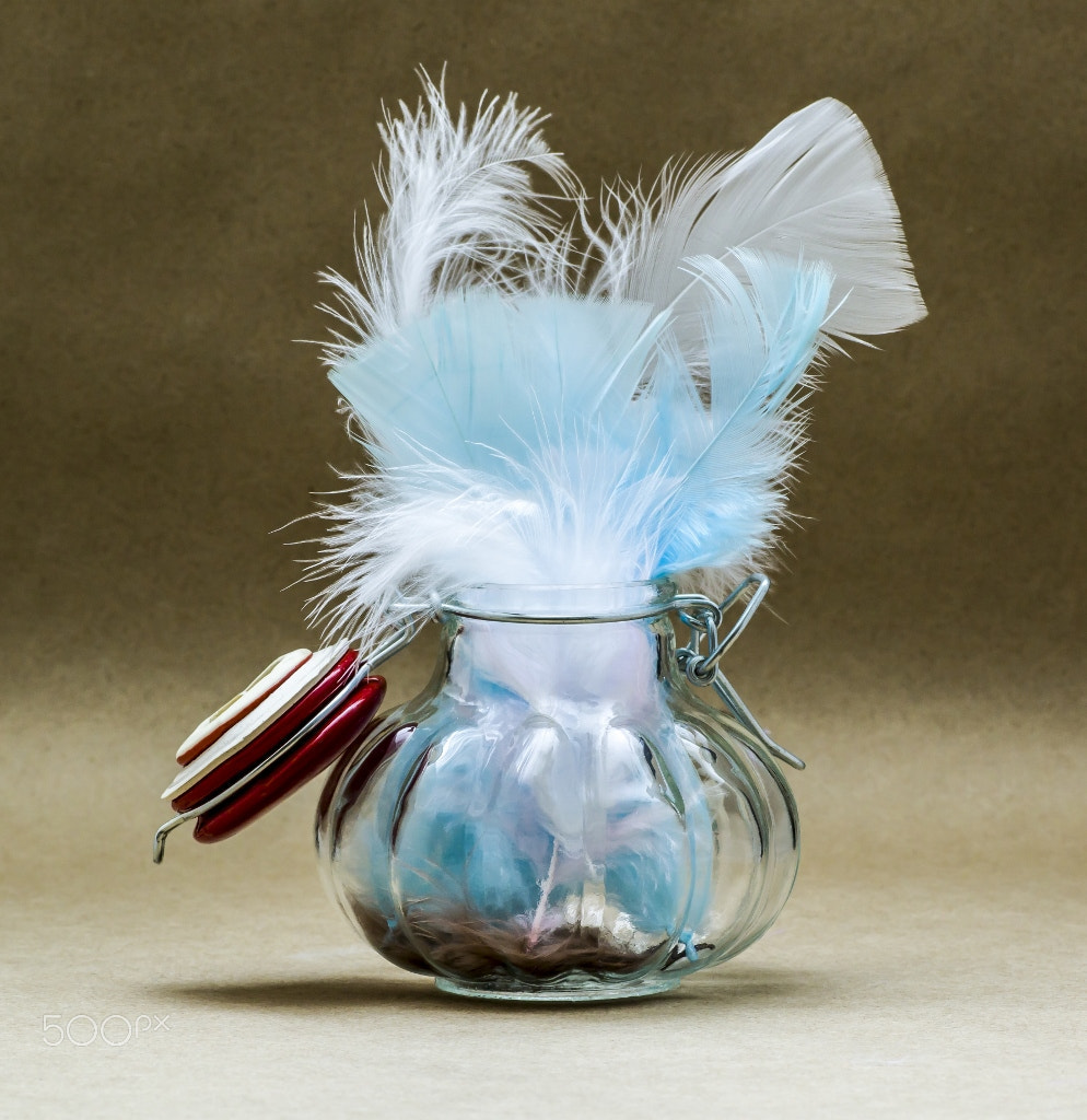 Canon EOS 7D Mark II + Tamron SP AF 90mm F2.8 Di Macro sample photo. Jar of feathers (x) photography