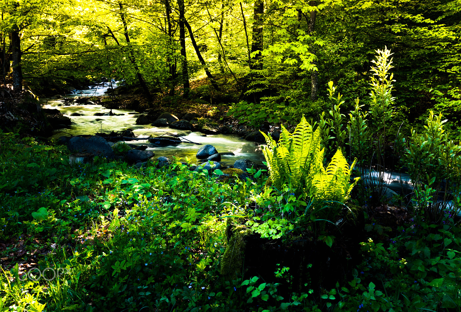 Nikon AF Nikkor 24-85mm F2.8-4D IF sample photo. Dsc photography