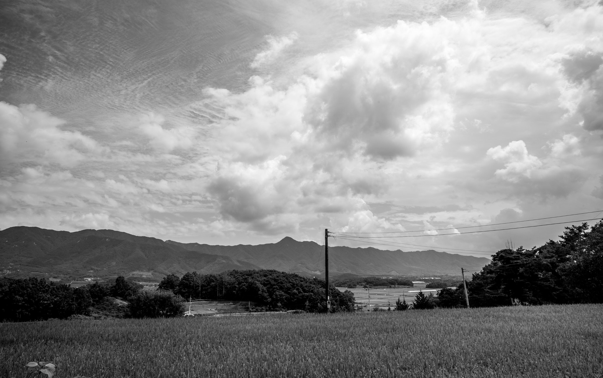 Leica Super-Elmar-M 21mm F3.4 ASPH sample photo. Autumn photography