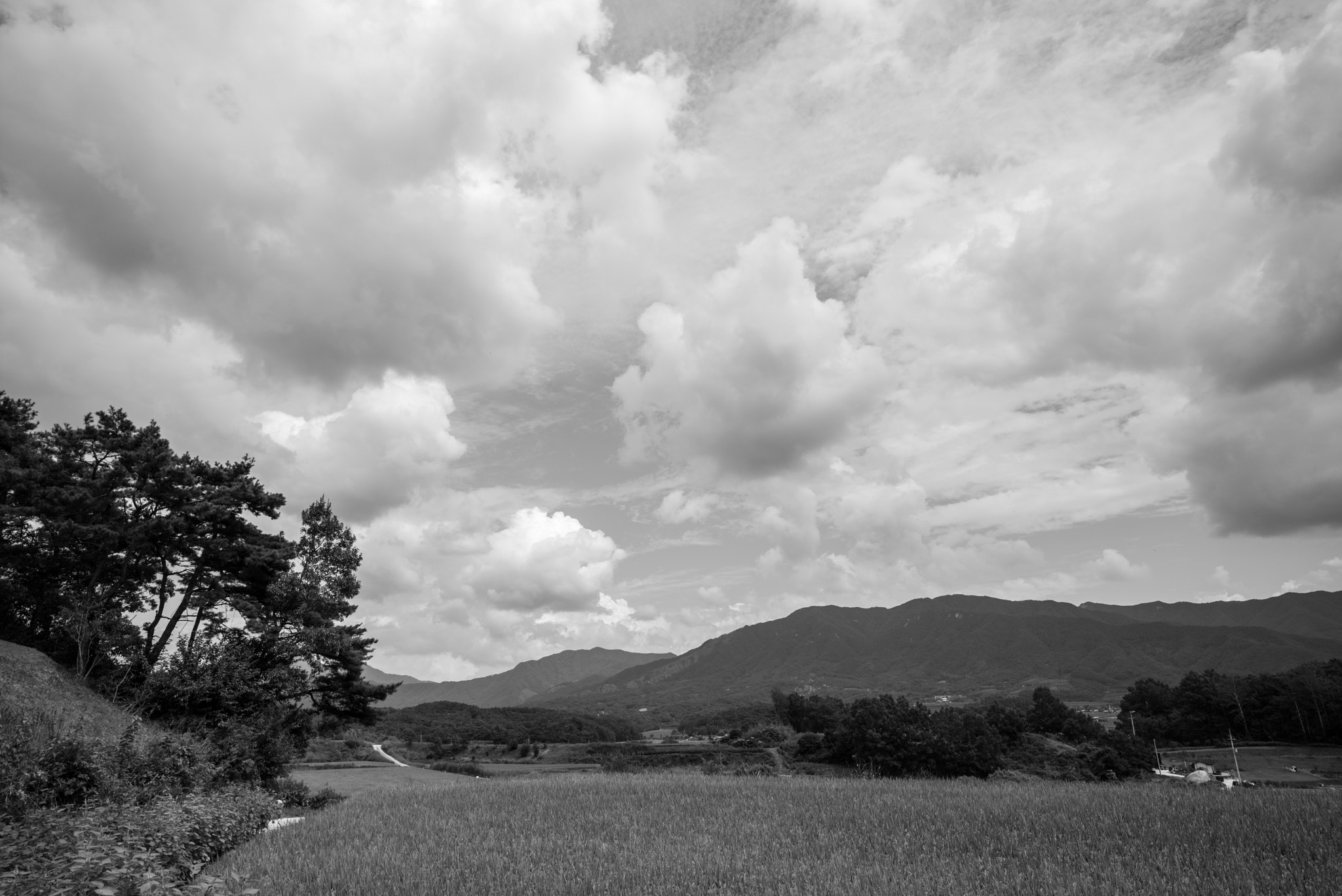 Leica Super-Elmar-M 21mm F3.4 ASPH sample photo. Clouds photography