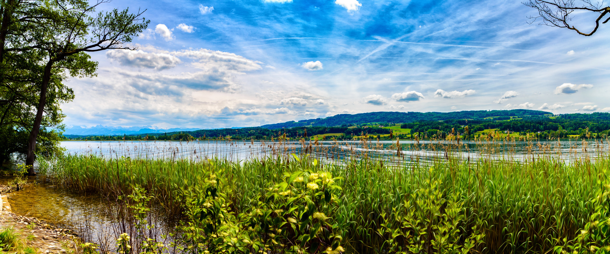 Nikon D5100 + Sigma 18-250mm F3.5-6.3 DC OS HSM sample photo. Greifensee photography