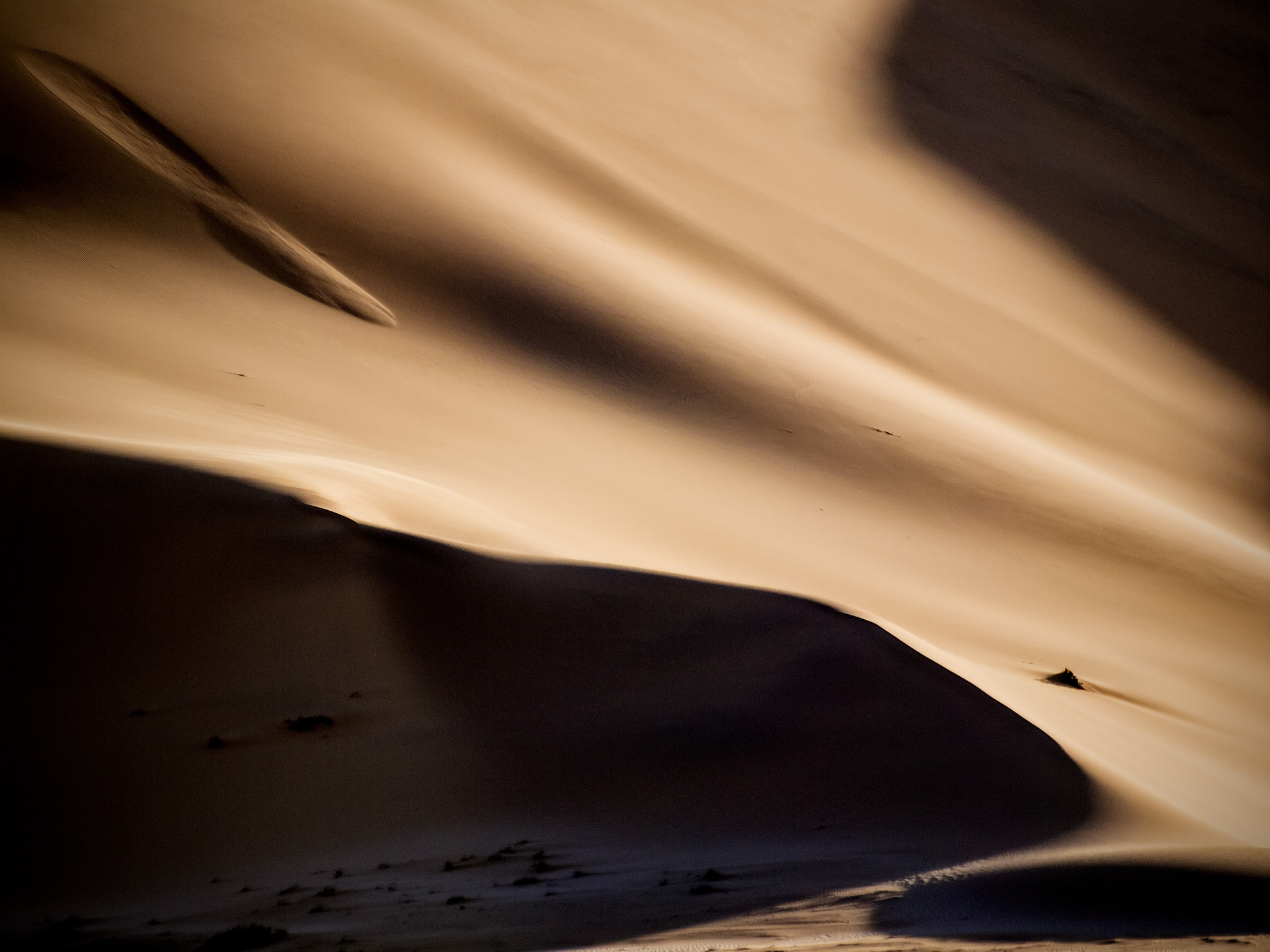 Olympus E-5 sample photo. Desert photography