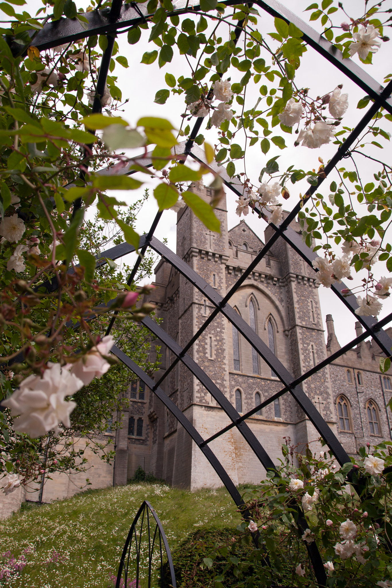 Pentax K20D sample photo. Arundel castle from rose garden photography