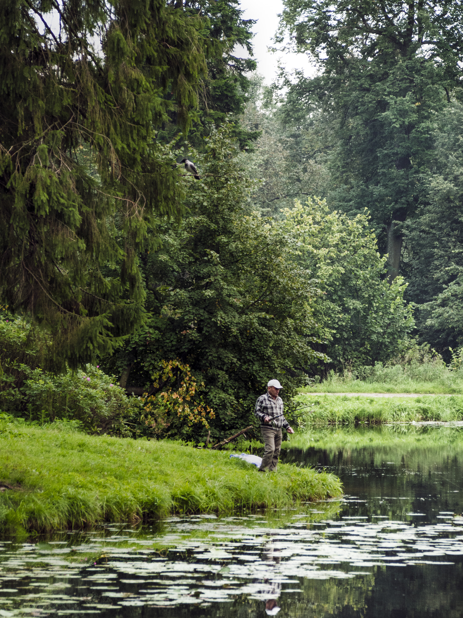 Olympus PEN E-PL6 sample photo. Fisherman and the crow photography