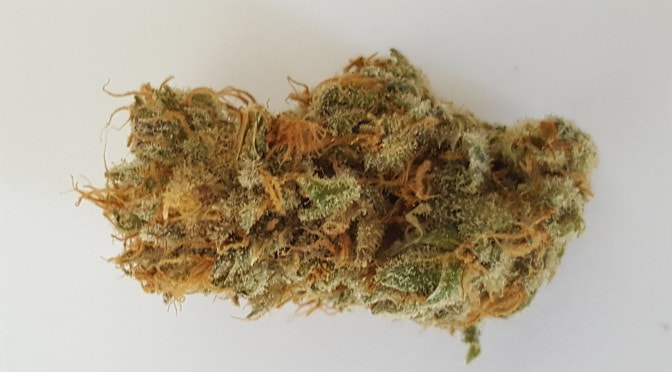 v2?sig=899a3ba8349e40f91880114c54212338af4820cd04a1e9929528452c6744854c