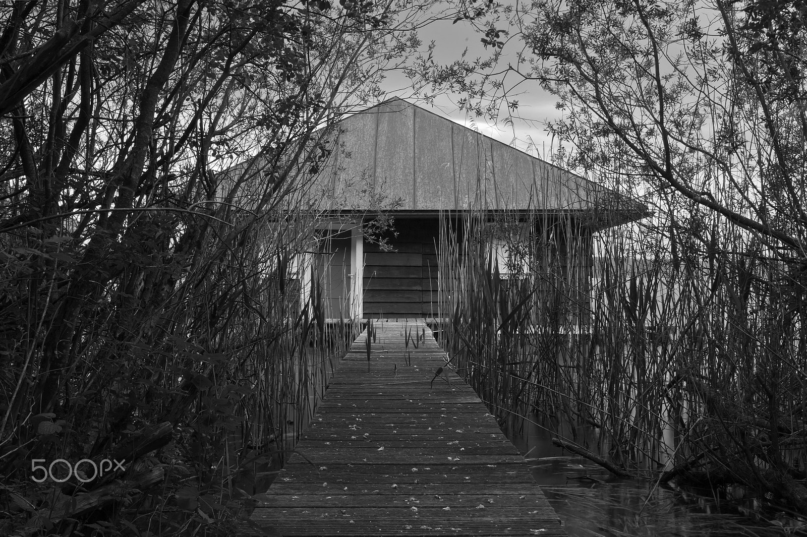 Canon EOS-1D Mark III sample photo. Lakehouse photography