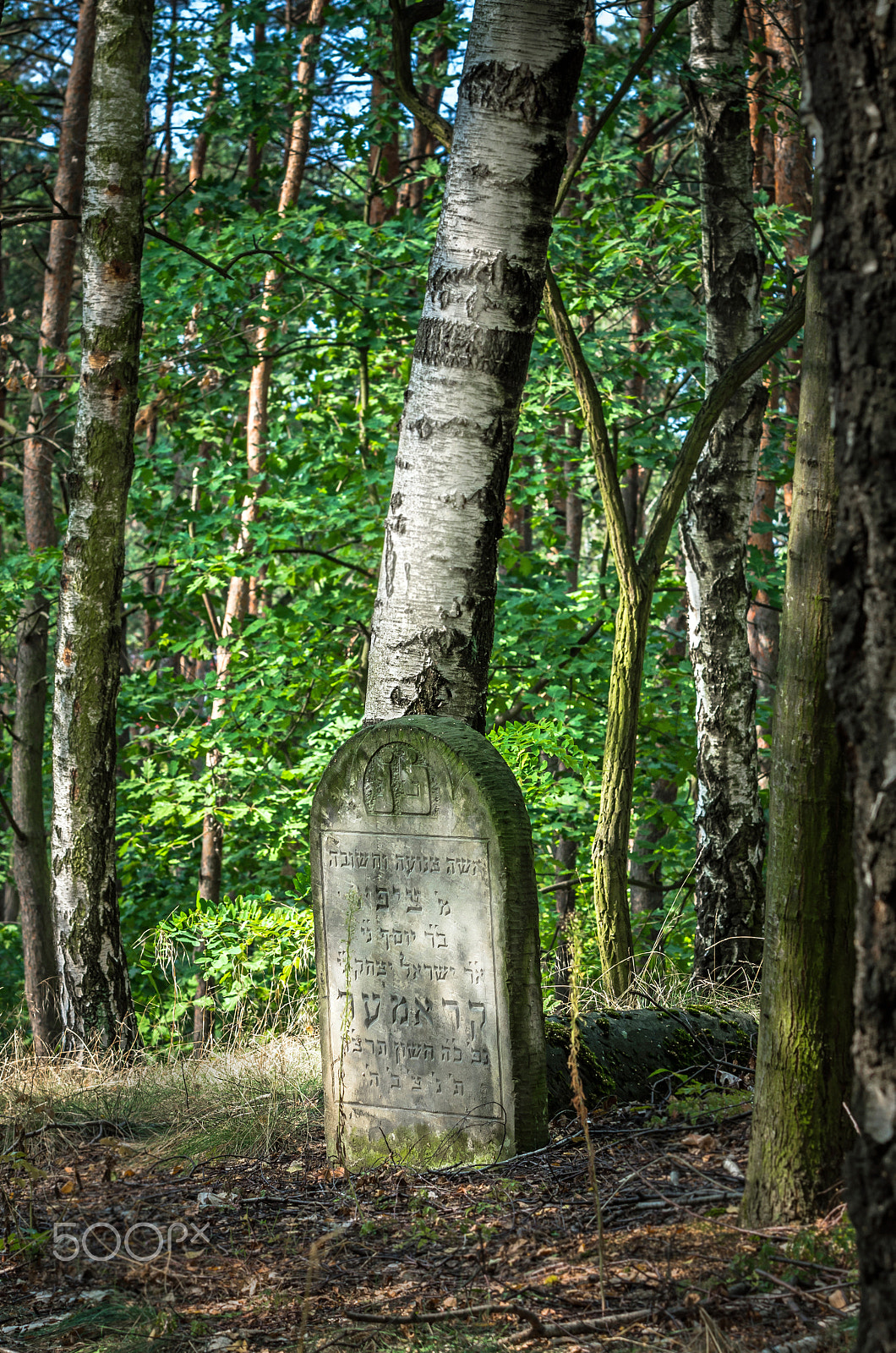 Pentax K-5 II sample photo. Poland - warsaw photography