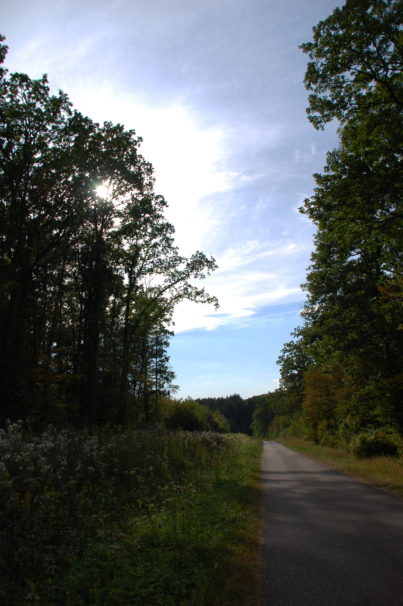 Nikon D40 + Sigma 18-200mm F3.5-6.3 DC sample photo. On the road again photography