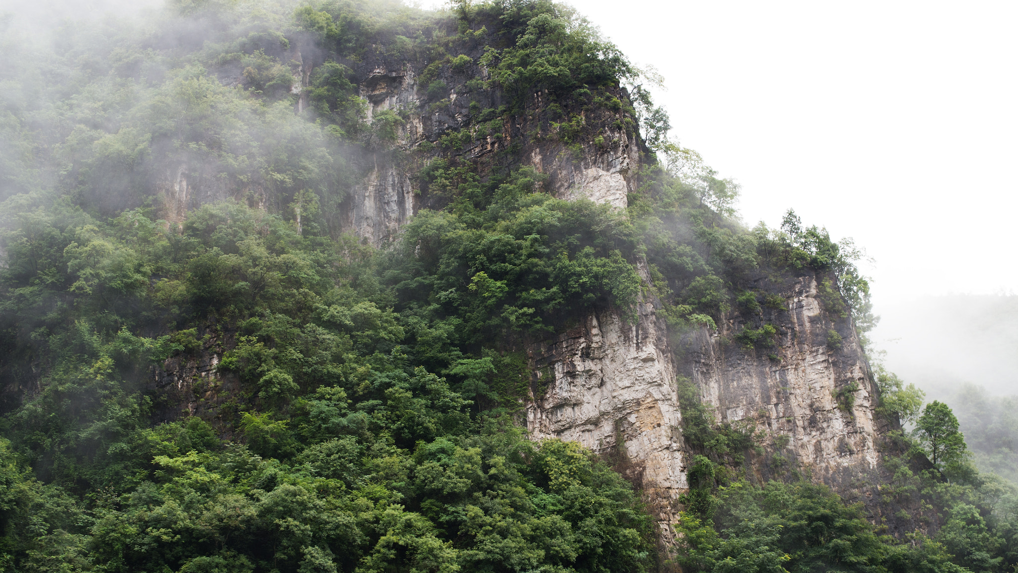 Nikon Df + Nikon AF-S Nikkor 50mm F1.4G sample photo. Mountain fog on the road photography