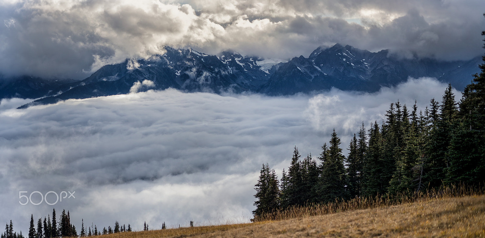 Canon TS-E 90mm F2.8 Tilt-Shift sample photo. Hurricane ridge photography