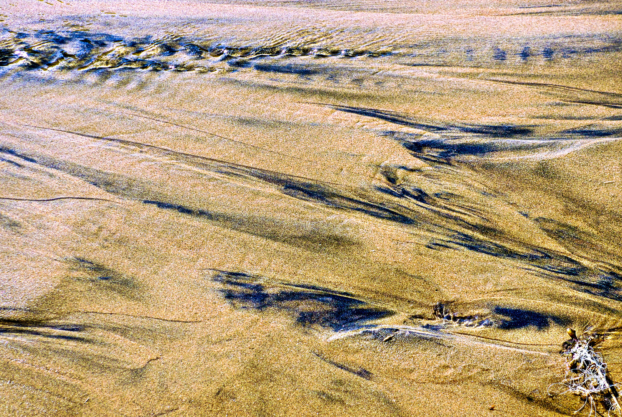 Canon PowerShot ELPH 310 HS (IXUS 230 HS / IXY 600F) sample photo. Pattern in the sand photography