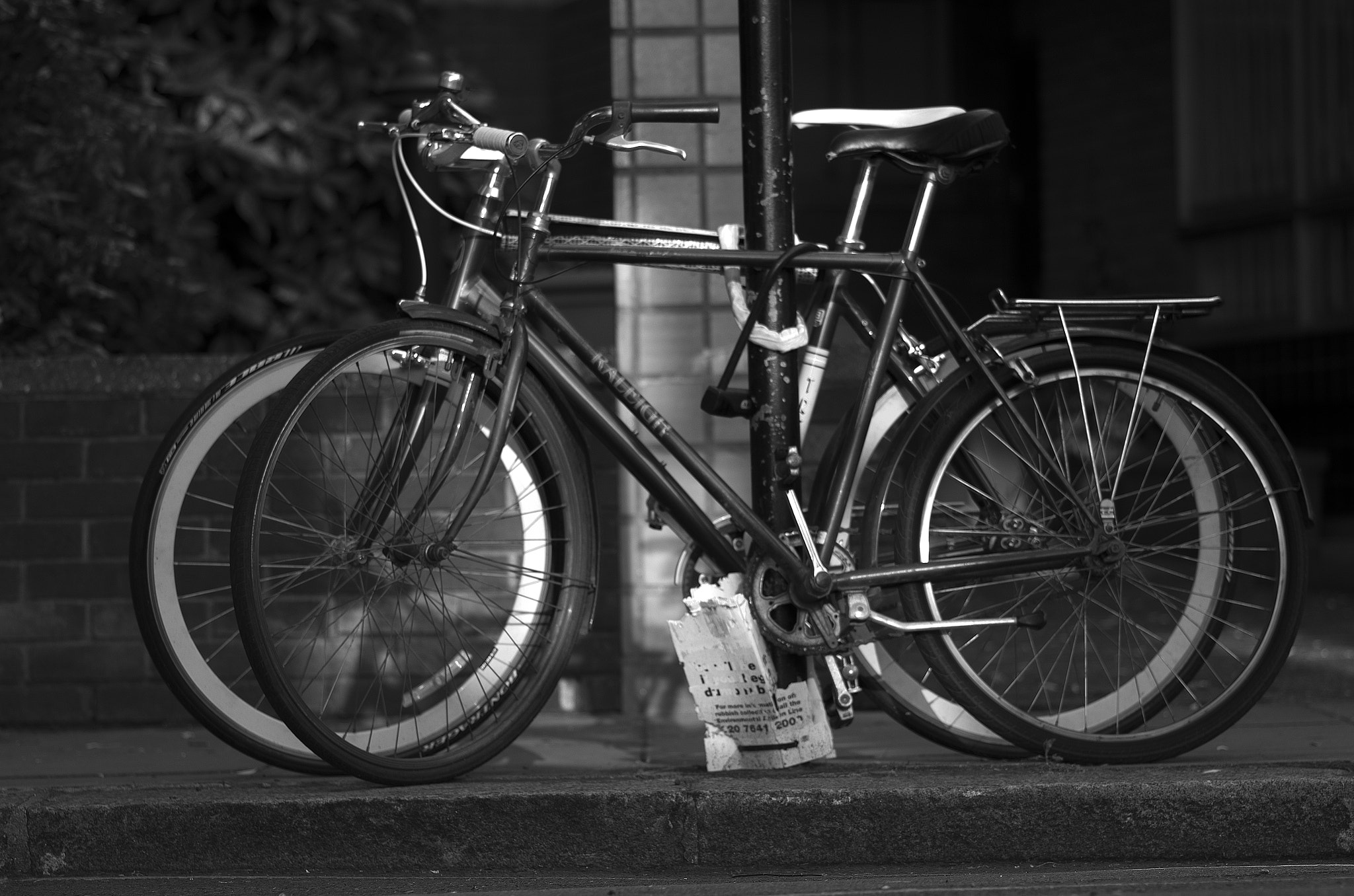 Pentax K-30 sample photo. Contrast cycle photography