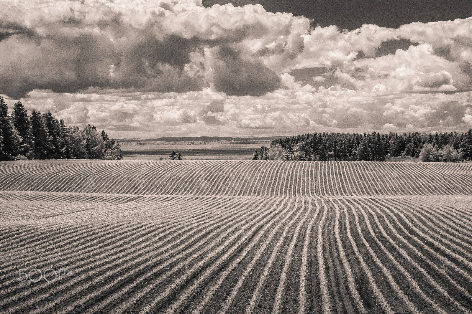 Canon EF-S 17-85mm F4-5.6 IS USM sample photo. Pei photography