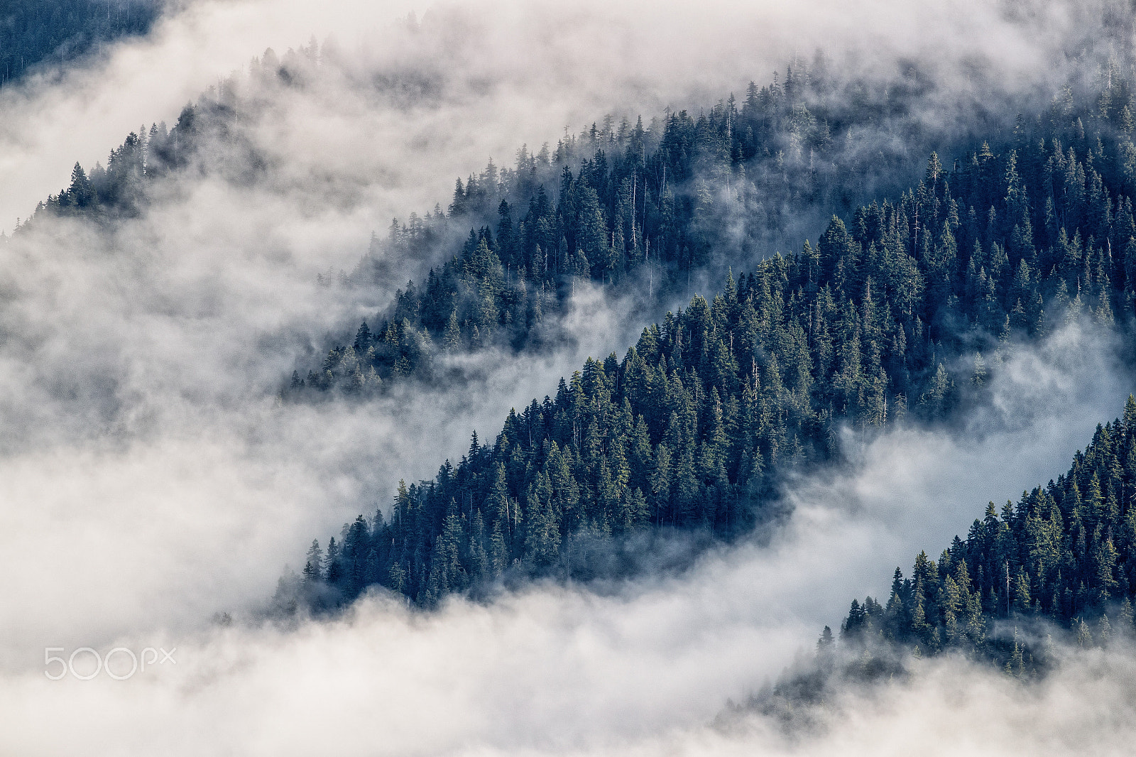 Canon EF 300mm F2.8L IS II USM sample photo. Ridge photography