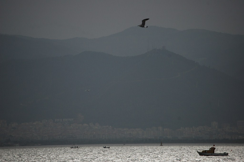 Nikon D70s sample photo. Balıkçı photography