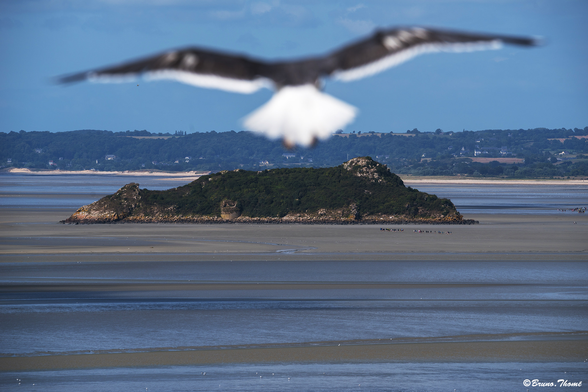 Pentax K-1 sample photo. Flying photography