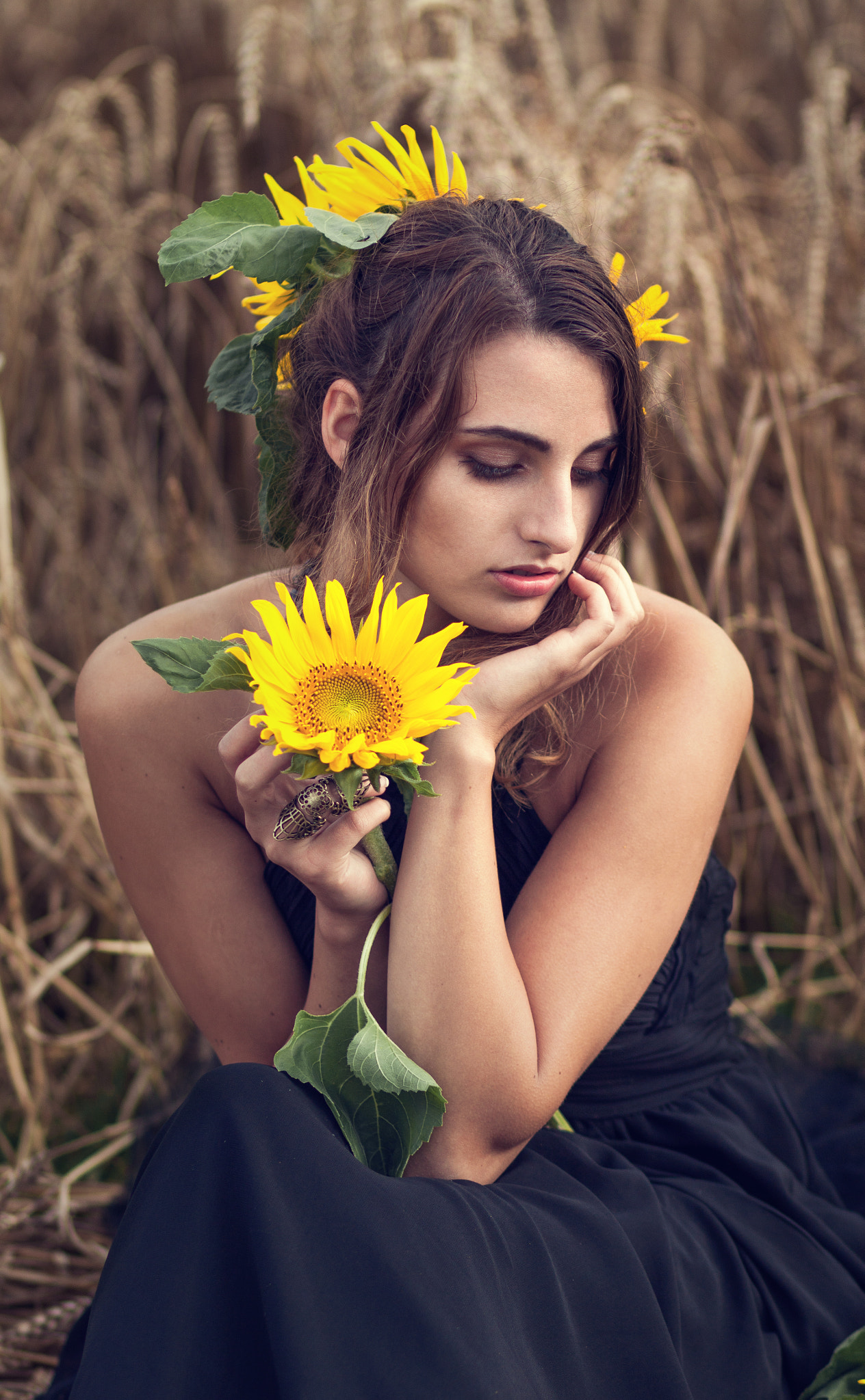 Canon EOS 500D (EOS Rebel T1i / EOS Kiss X3) + Canon EF 85mm F1.8 USM sample photo. ~sunflowers~ photography