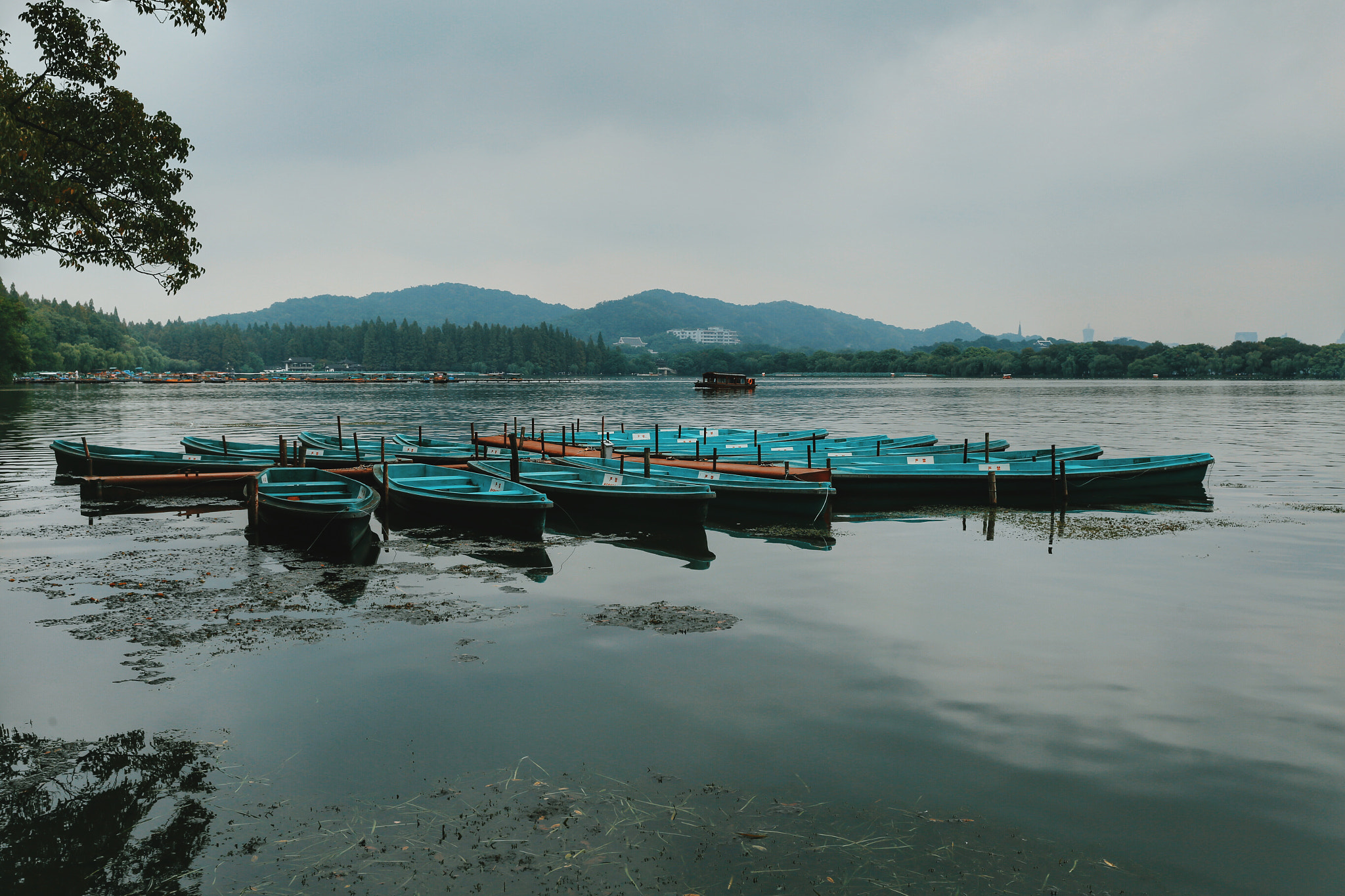 Canon EF 24-70mm F2.8L II USM sample photo