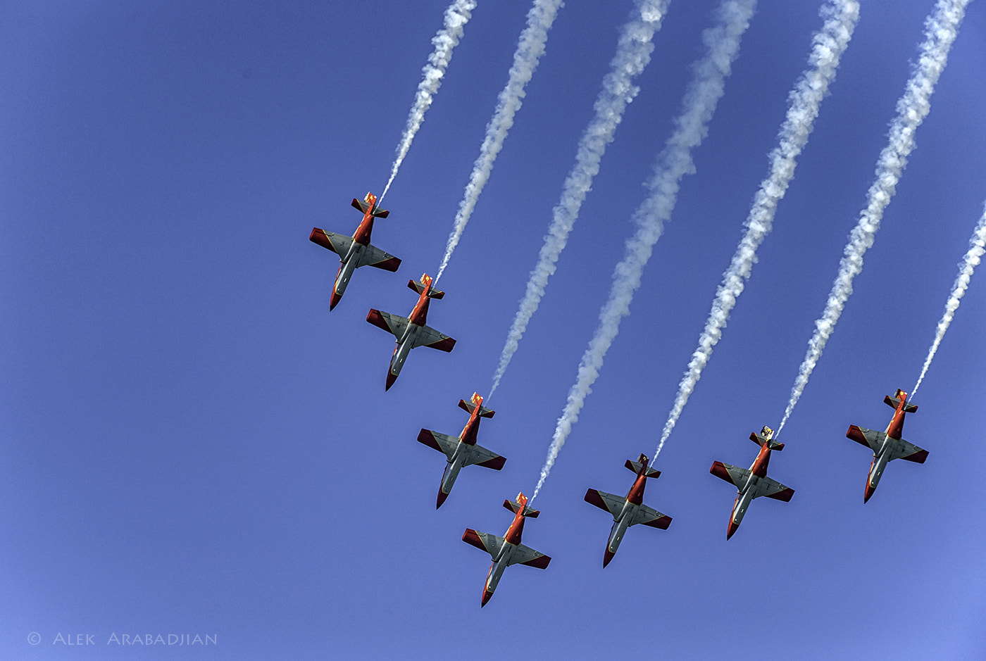 Nikon D5 sample photo. All 7 (1) photography