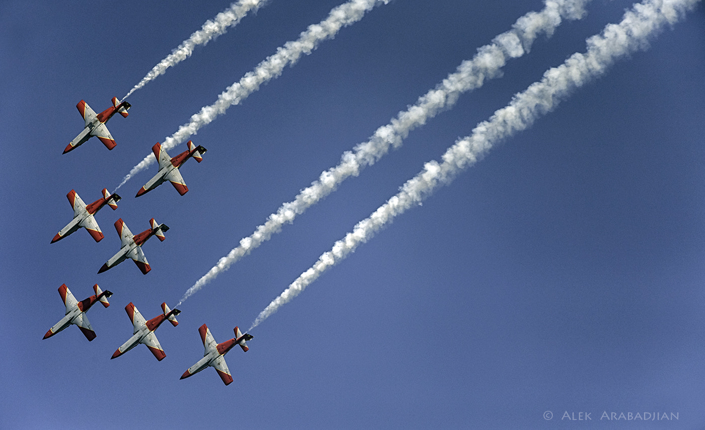Nikon D5 sample photo. All 7 (2) photography