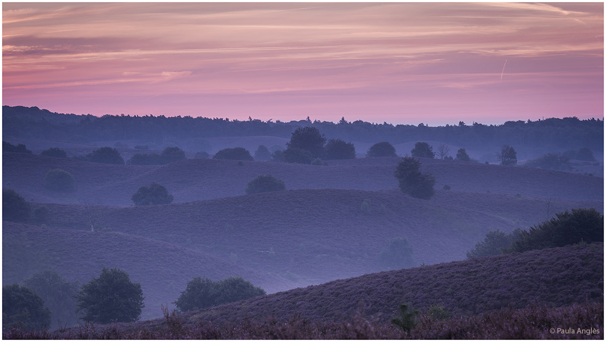 Sony a99 II + Tamron SP 70-200mm F2.8 Di VC USD sample photo. Sunrise photography