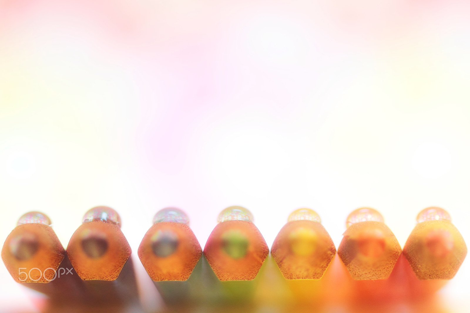 Canon EF 100mm F2.8 Macro USM sample photo. Pencil and flower ball photography
