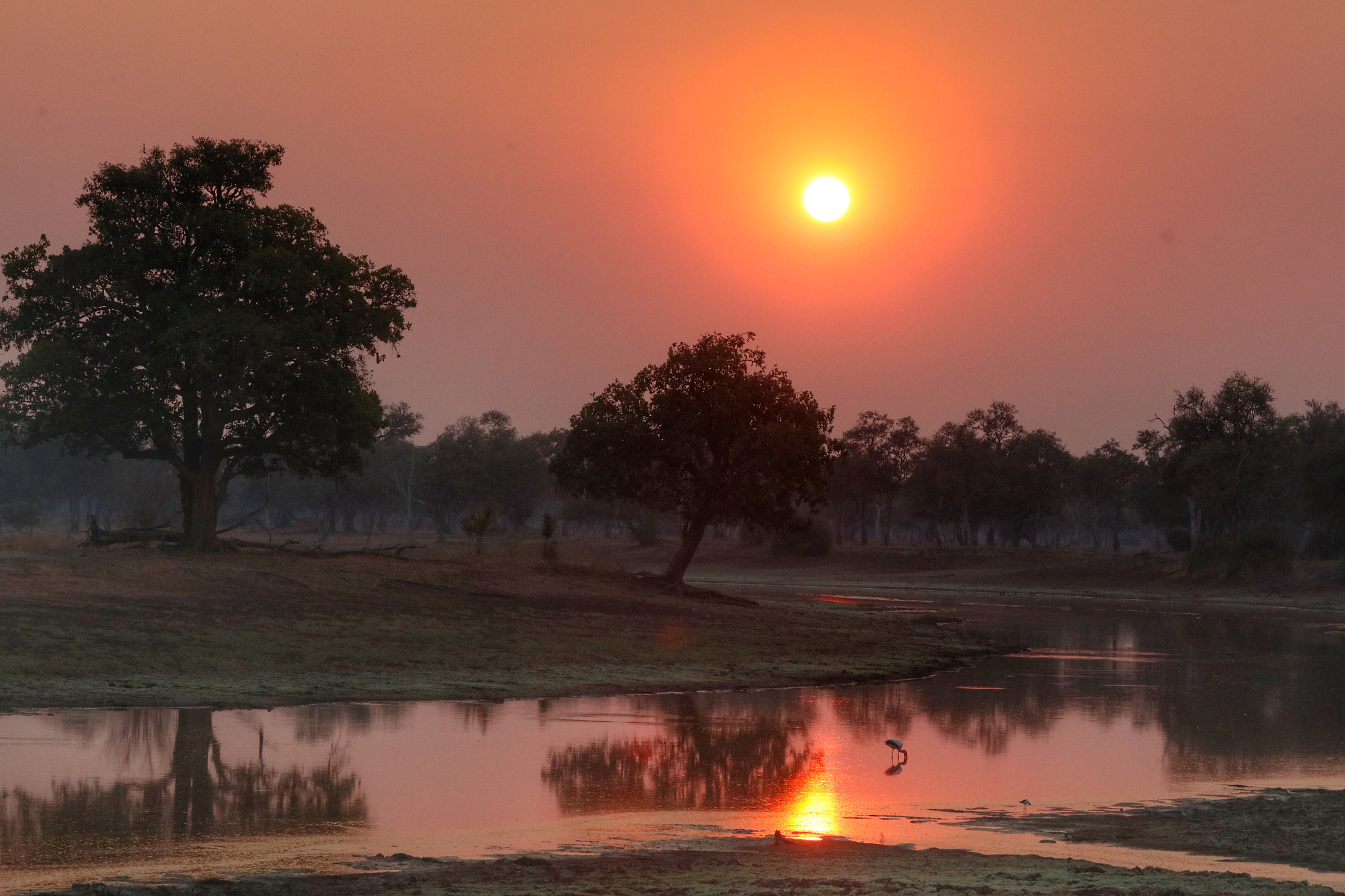 Canon EF 70-200mm F2.8L IS II USM sample photo. Sunset in south luangwa national park in zambia. photography