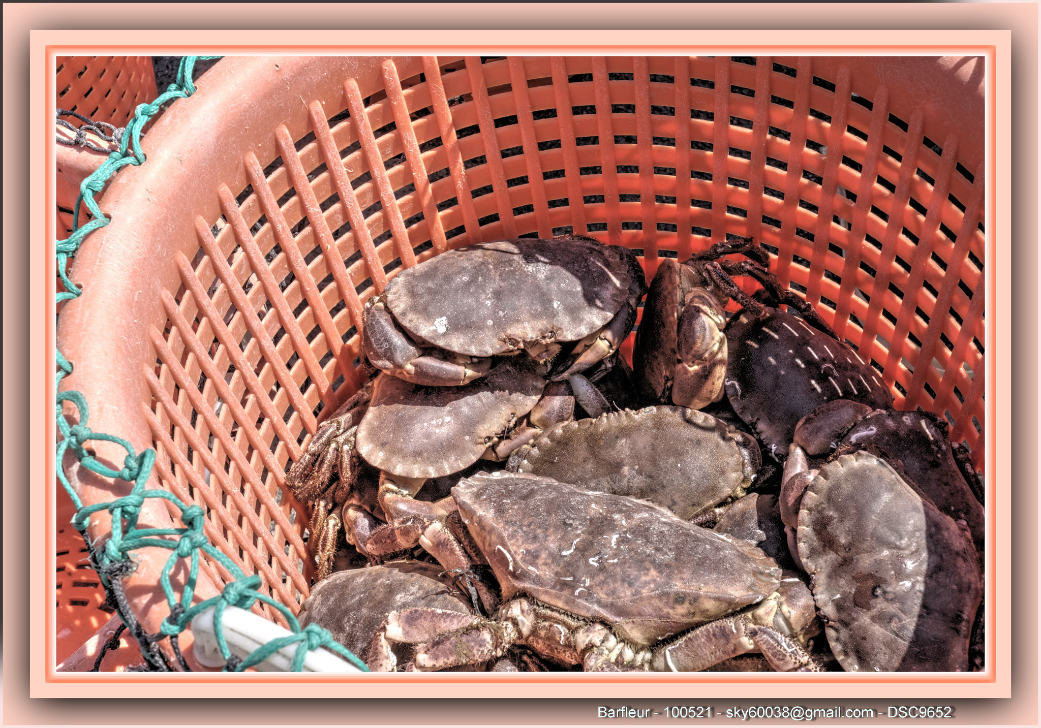 Sony DT 16-105mm F3.5-5.6 sample photo. Normandie, barfleur photography