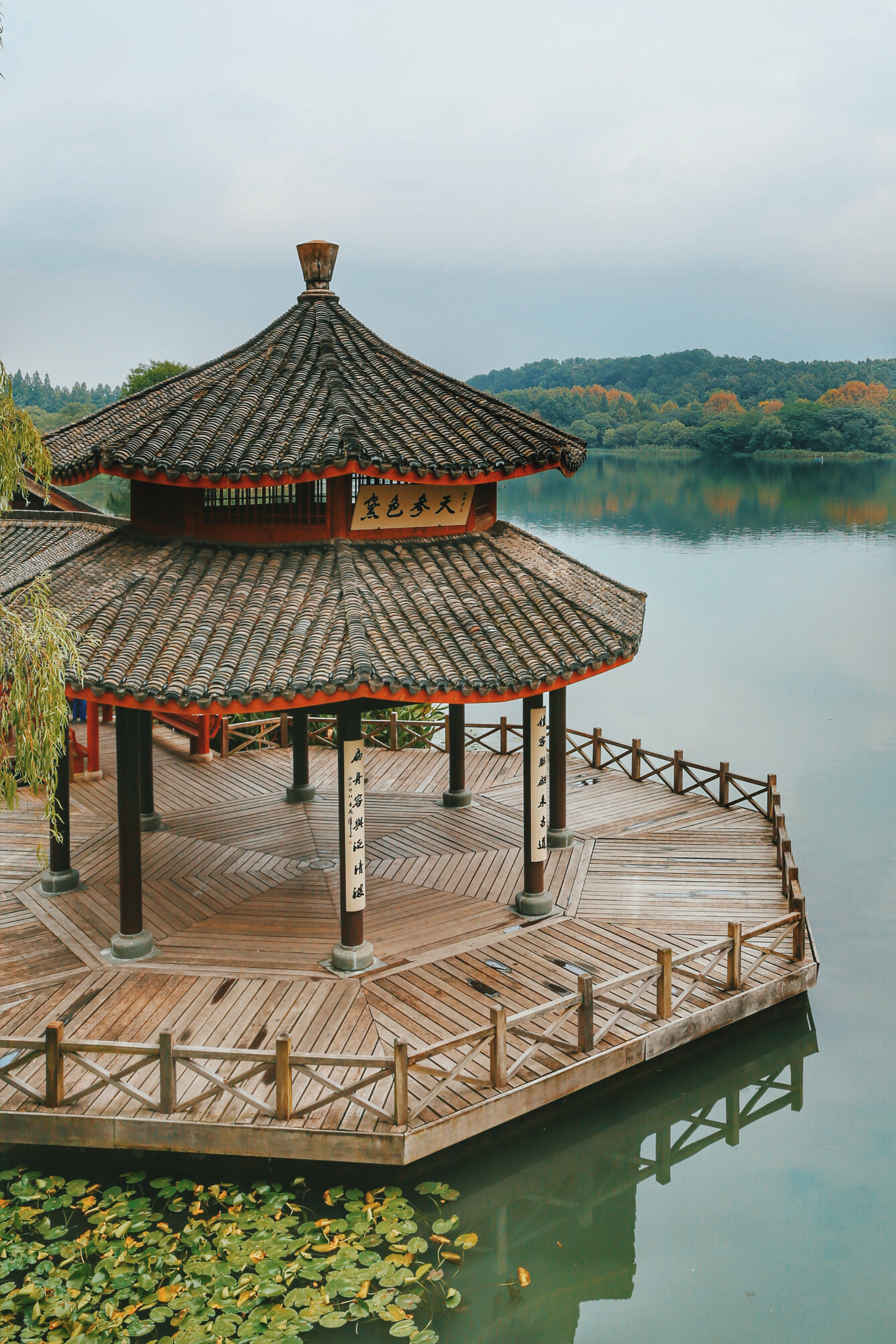Canon EF 24-70mm F2.8L II USM sample photo. 黛色参天 photography