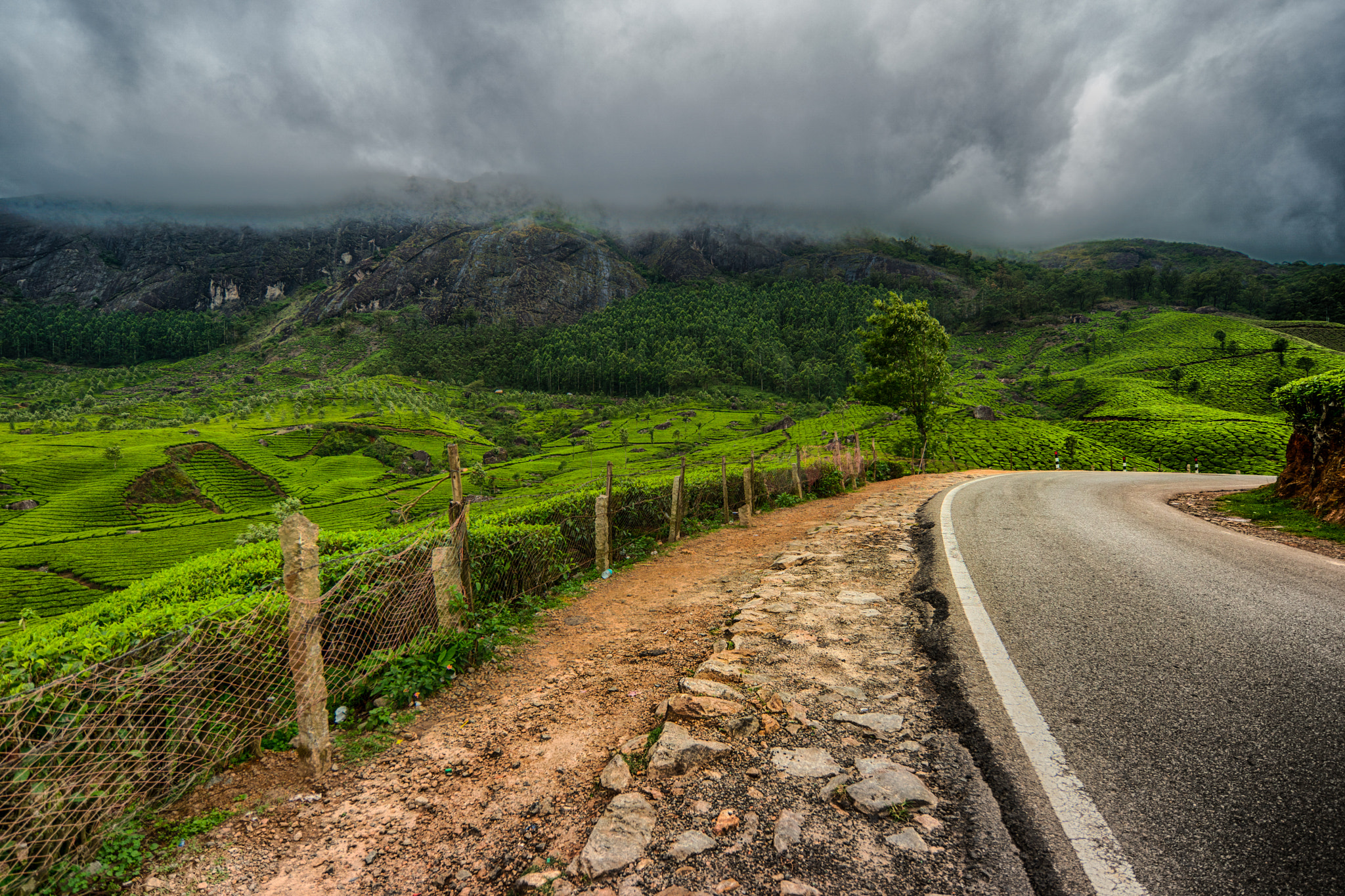 Samsung NX 12-24mm F4-5.6 ED sample photo. Munnar hdr photography