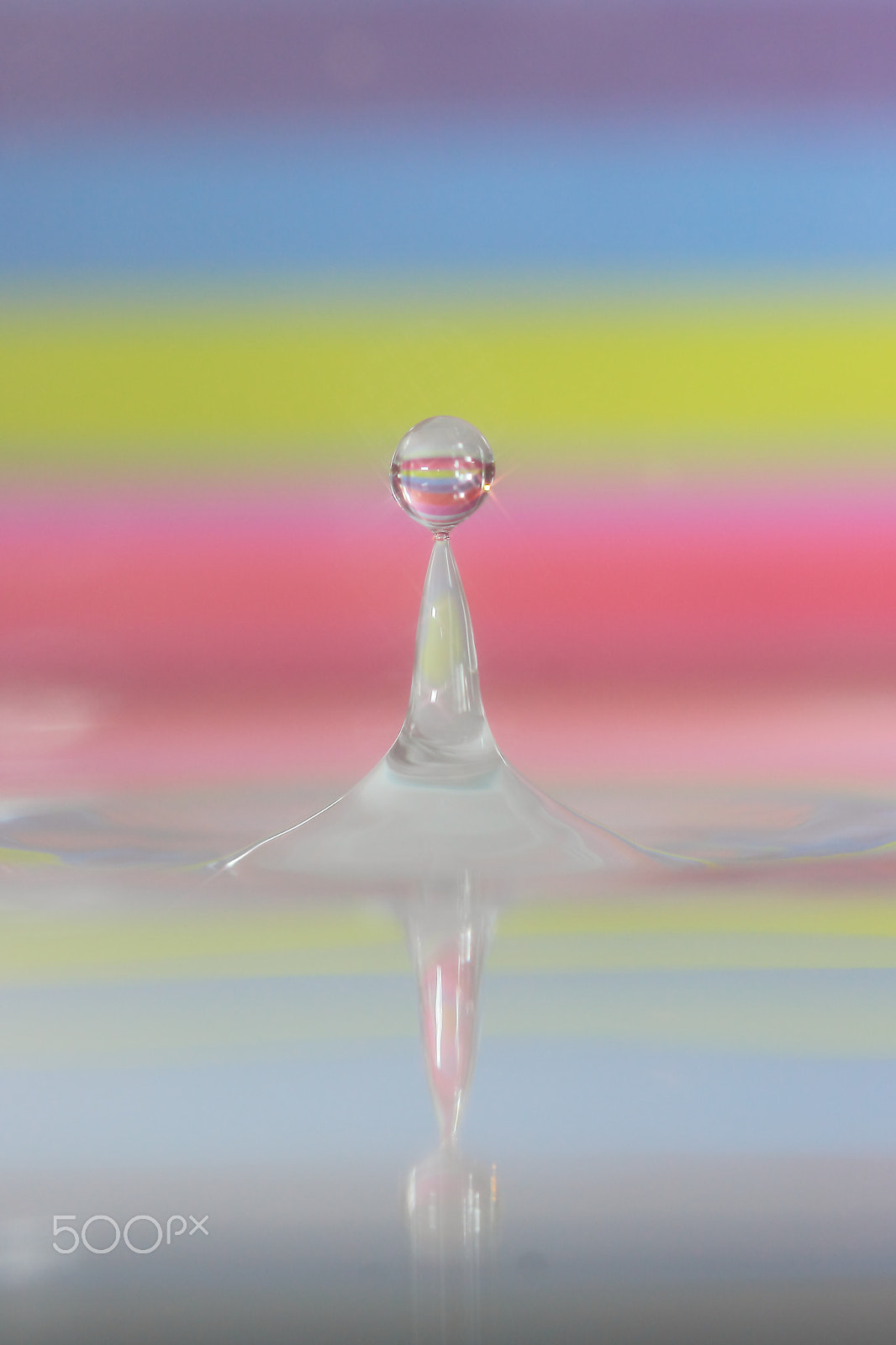 Canon EF 100mm F2.8 Macro USM sample photo. Symmetry photography